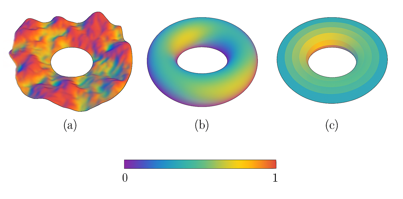 Evolution of a 2D toroidal manifold during simulated annealing.